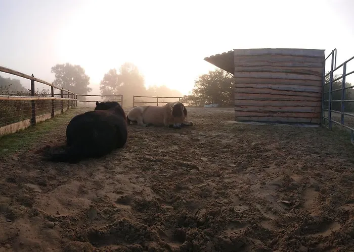 Belroki Ranch